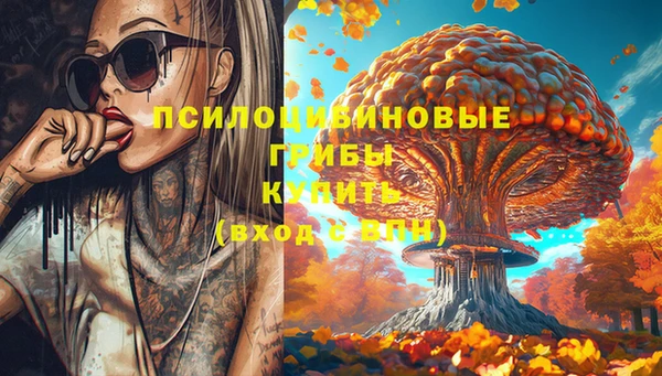 молекула духа Аркадак