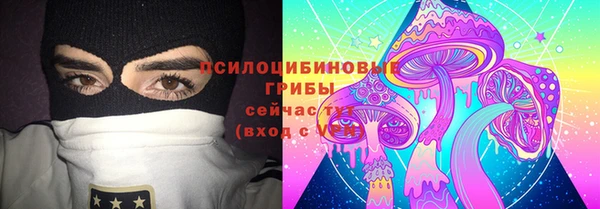 молекула духа Аркадак