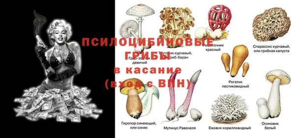 ALPHA-PVP Арсеньев